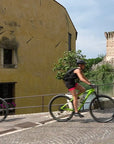 E-Bike Tour with wine tasting from Valeggio