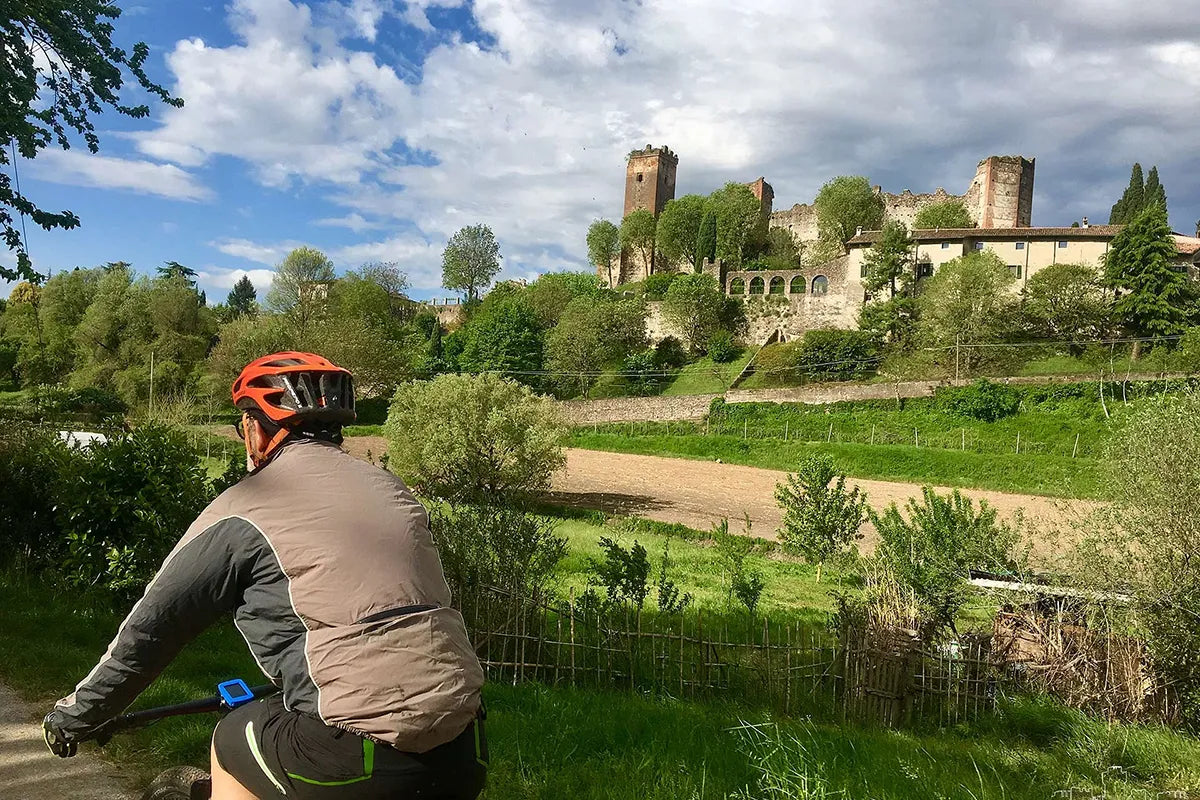 E-Bike Tour with wine tasting from Valeggio