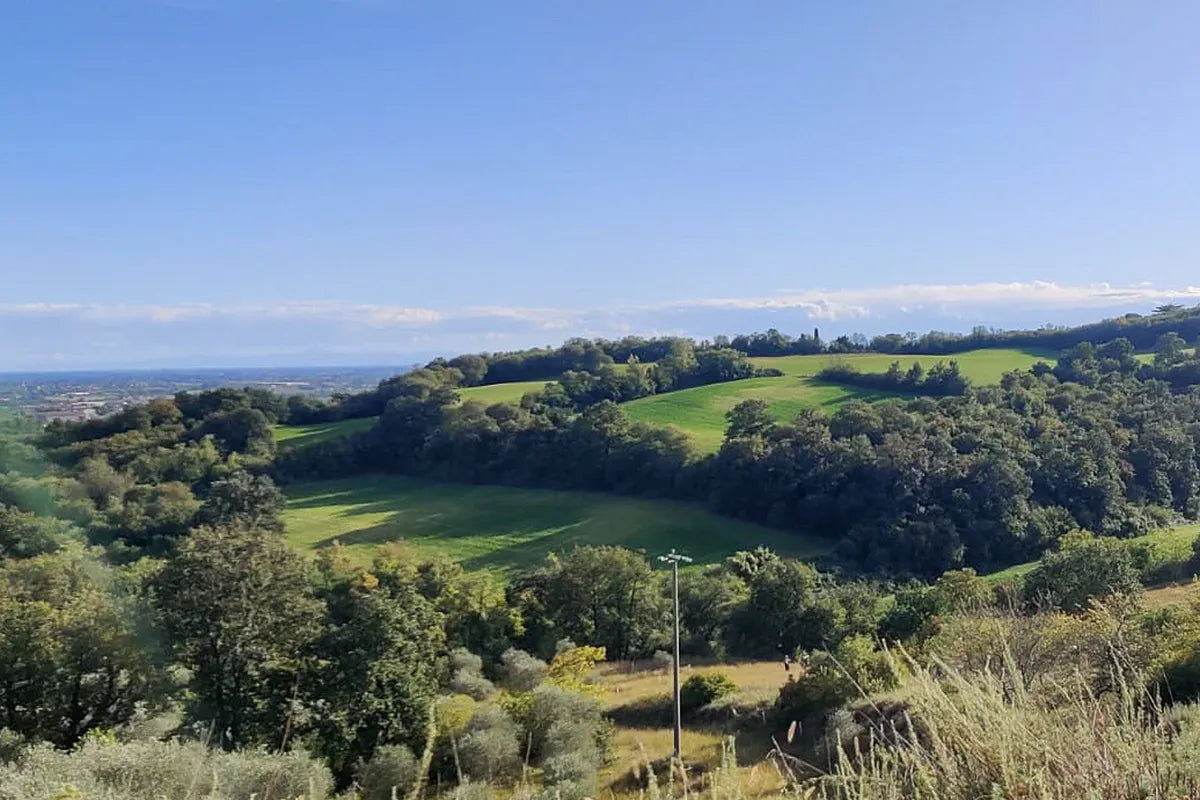 E-Bike Tour with wine tasting from Valeggio