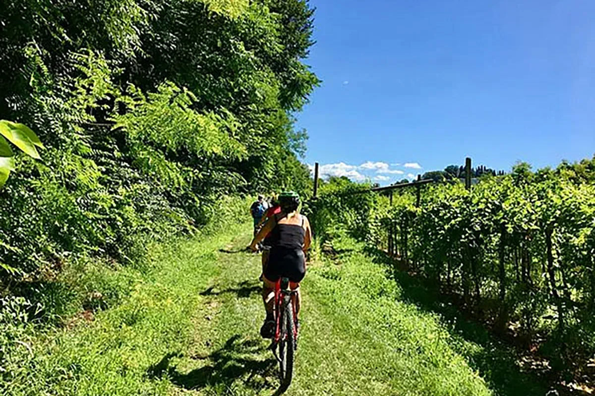 E-Bike Tour with wine tasting from Valeggio