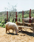 Grosseto: visit the family farm with tasting of local food at Agriturismo Lillastro