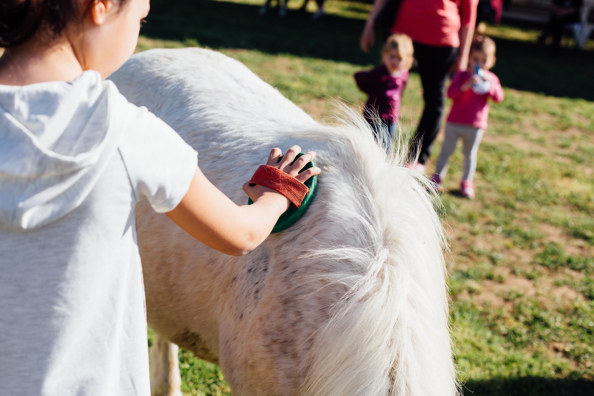 Grosseto: visit the family farm with tasting of local food at Agriturismo Lillastro