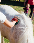 Grosseto: visit the family farm with tasting of local food at Agriturismo Lillastro