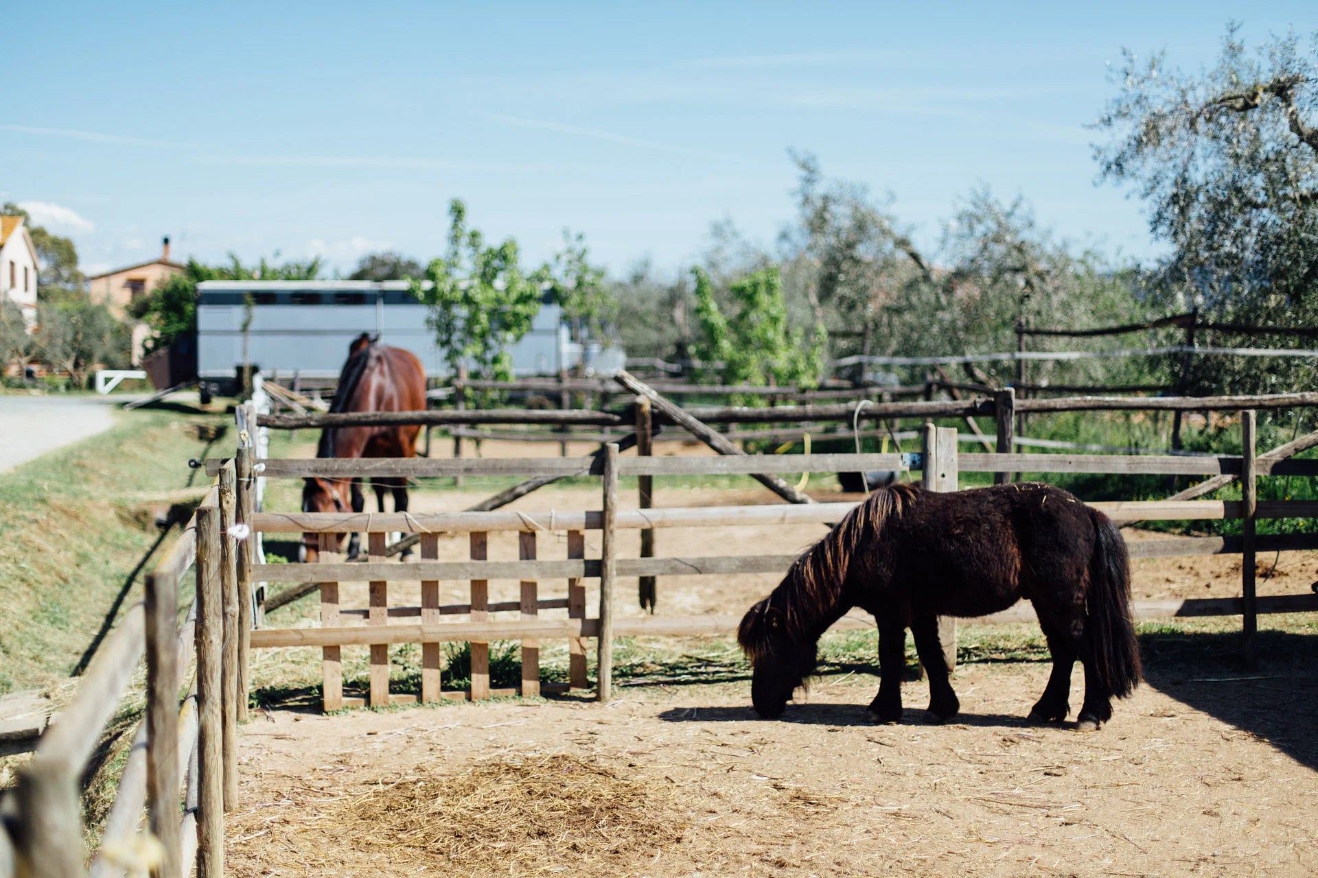 Grosseto: visit the family farm with tasting of local food at Agriturismo Lillastro