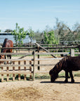 Grosseto: visit the family farm with tasting of local food at Agriturismo Lillastro