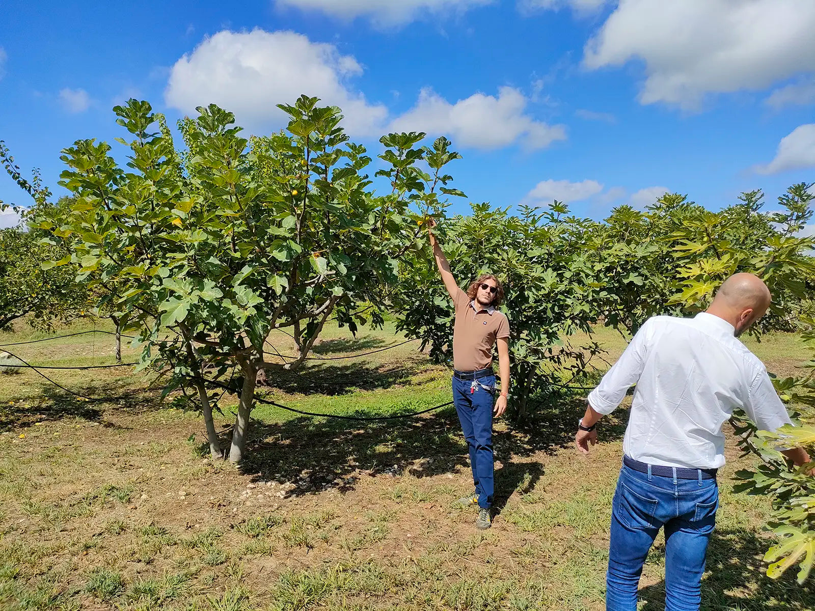 Beekeeping Farm Tour and Tasting Experience