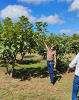 Beekeeping Farm Tour and Tasting Experience