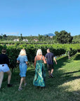 Vineyard tour and tasting of Garda Wines in Cavaion Veronese