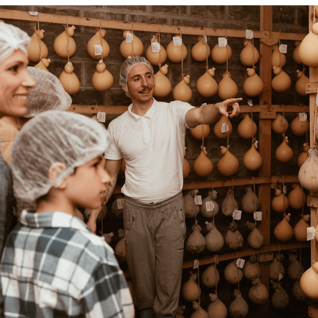 Traditional Cheese Factory Visit with Tasting in Isernia Countryside