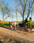 Horse Carriage Tour and tasting of local food in Lazise