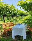 Horse Carriage Tour and tasting of local food in Lazise