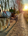 Horse Carriage Tour and tasting of local food in Lazise