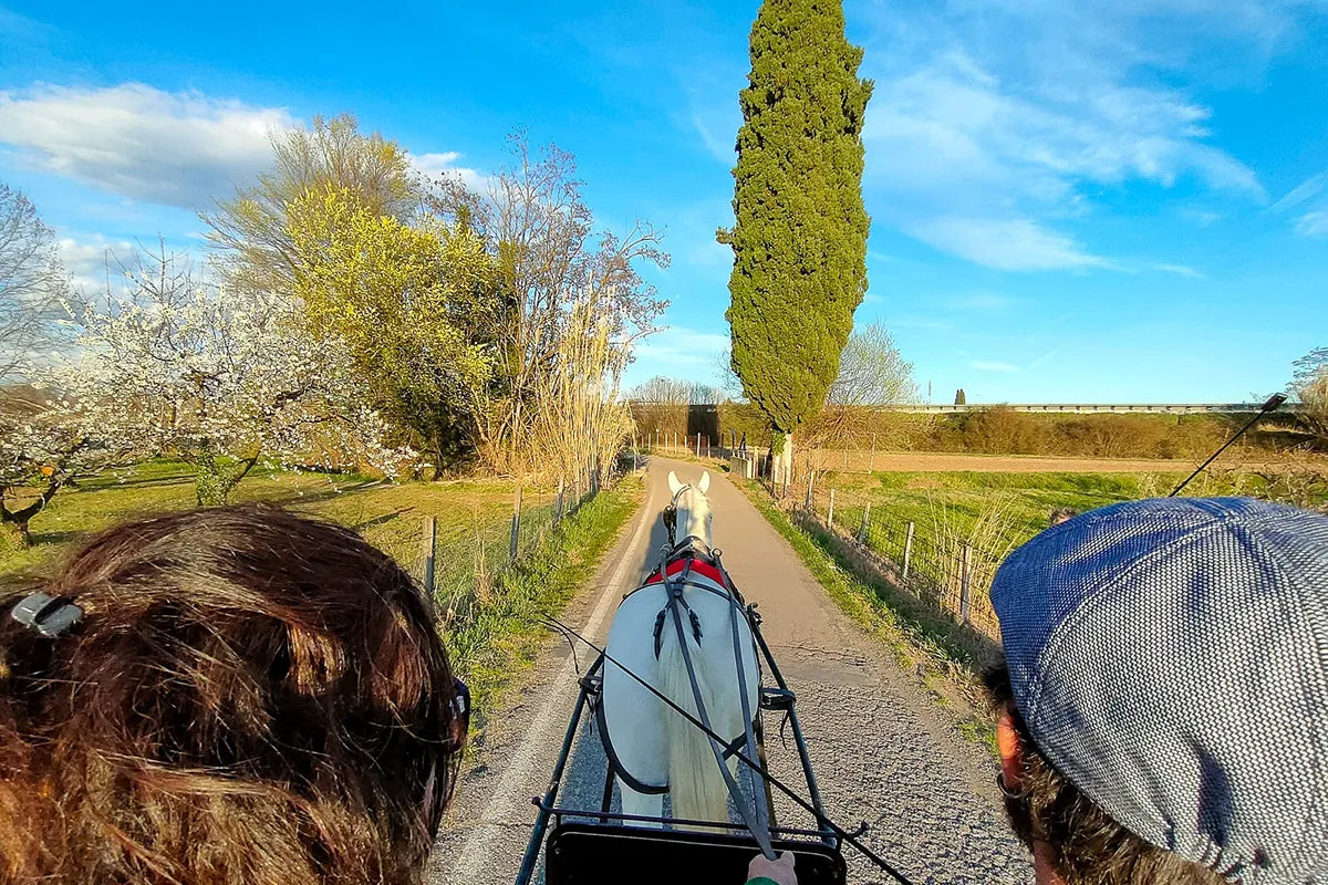 Horse Carriage Tour and tasting of local food in Lazise