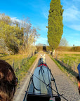 Horse Carriage Tour and tasting of local food in Lazise