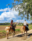 Horseback riding with wine and food tasting in Lazise countryside