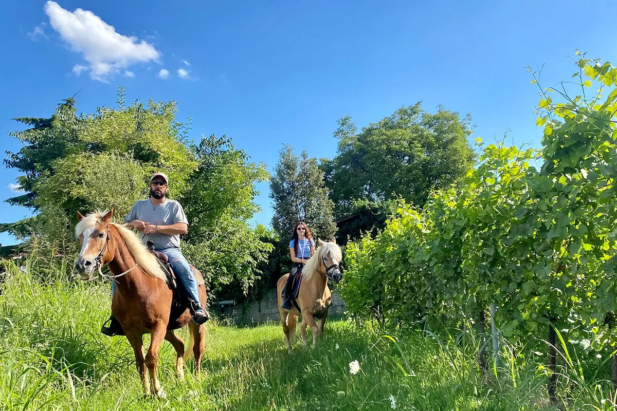 Horseback riding with wine and food tasting in Lazise countryside