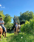 Horseback riding with wine and food tasting in Lazise countryside