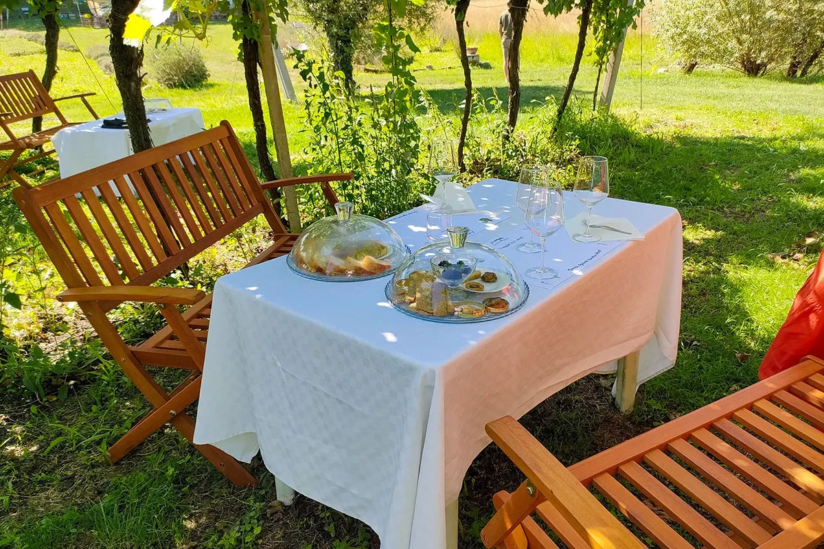 Horseback riding with wine and food tasting in Lazise countryside