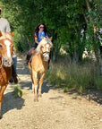 Horseback riding with wine and food tasting in Lazise countryside