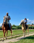 Horseback riding with wine and food tasting in Lazise countryside