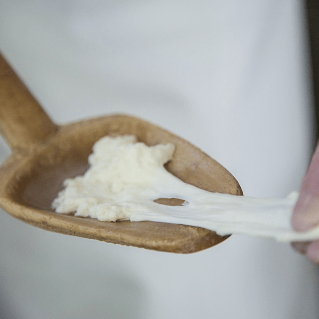 Traditional Cheese Factory Visit with Tasting in Isernia Countryside