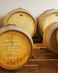 Wine Tasting and Food Parings in Langhe and near Alba