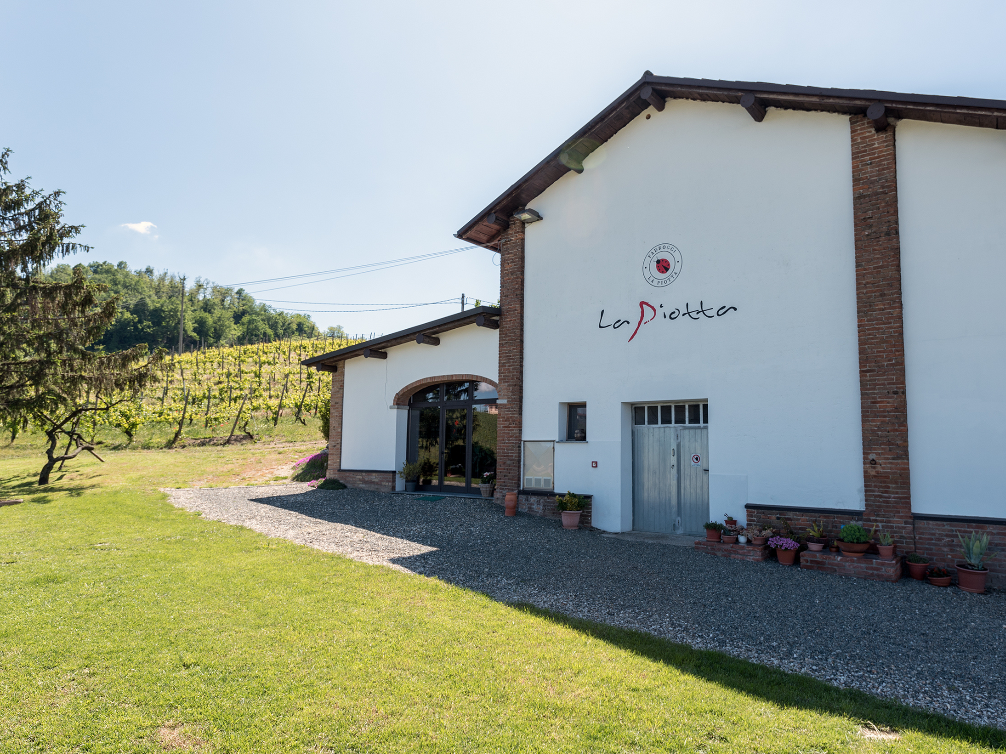 Pavia: Organic Winery Visit &amp; Wine Tasting with Food Platter