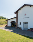 Pavia: Organic Winery Visit & Wine Tasting with Food Platter