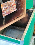 Beekeeping Farm Tour and Tasting Experience