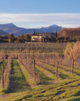 Organic and Biodynamic Winery Tour and Tasting in Lucca