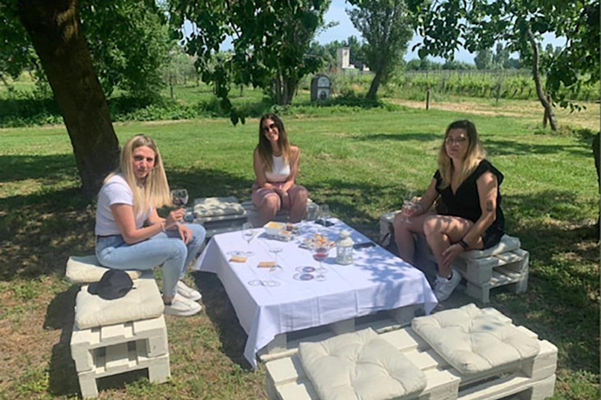 Wine tour and Tasting of Lugana Wines in Sirmione