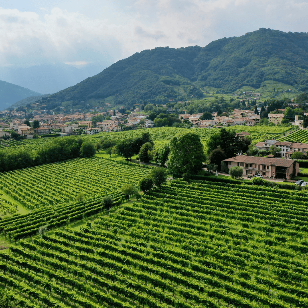 Prosecco Tasting in Countryside Winery