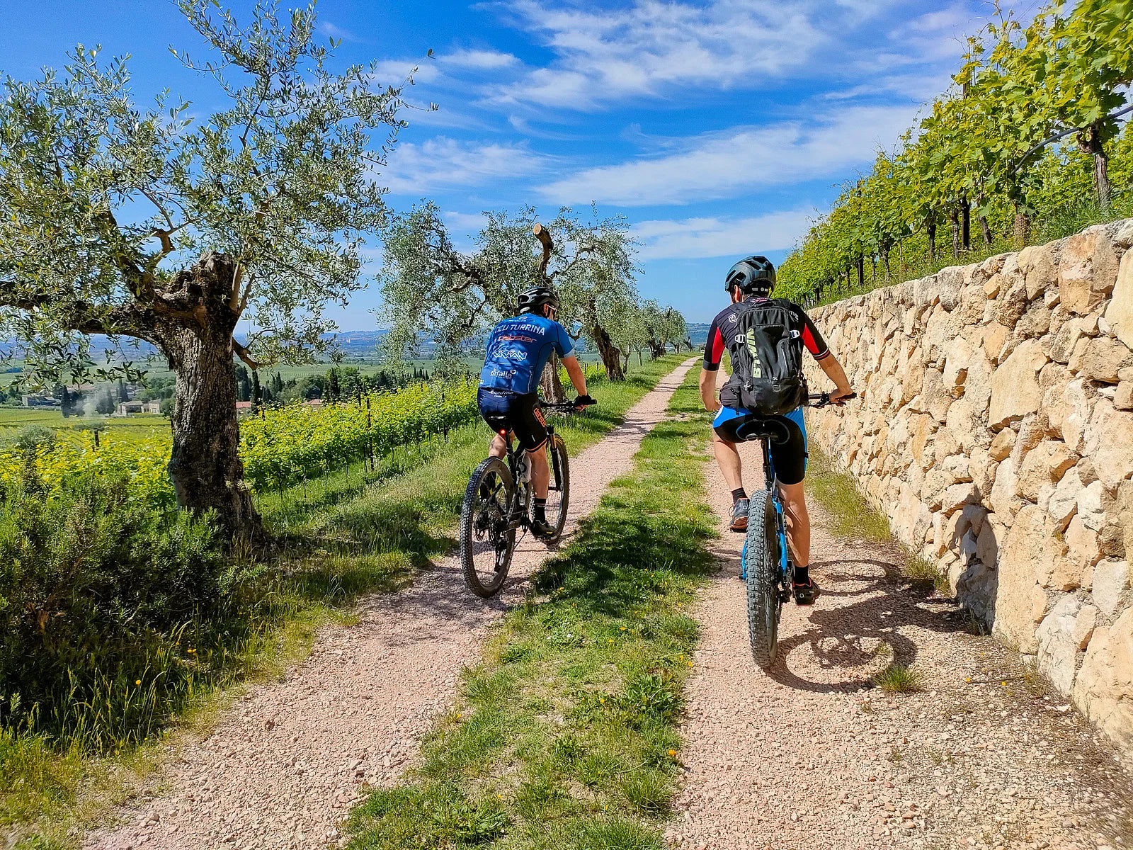 E-Bike tour with wine tasting on Valpolicella Hills