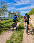 E-Bike tour with wine tasting on Valpolicella Hills