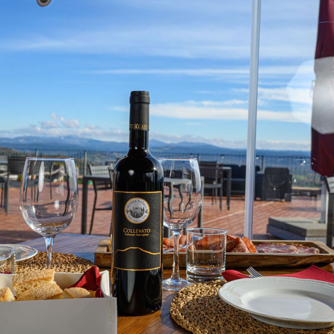 Wine Tasting with Local Food Pairing near Livorno