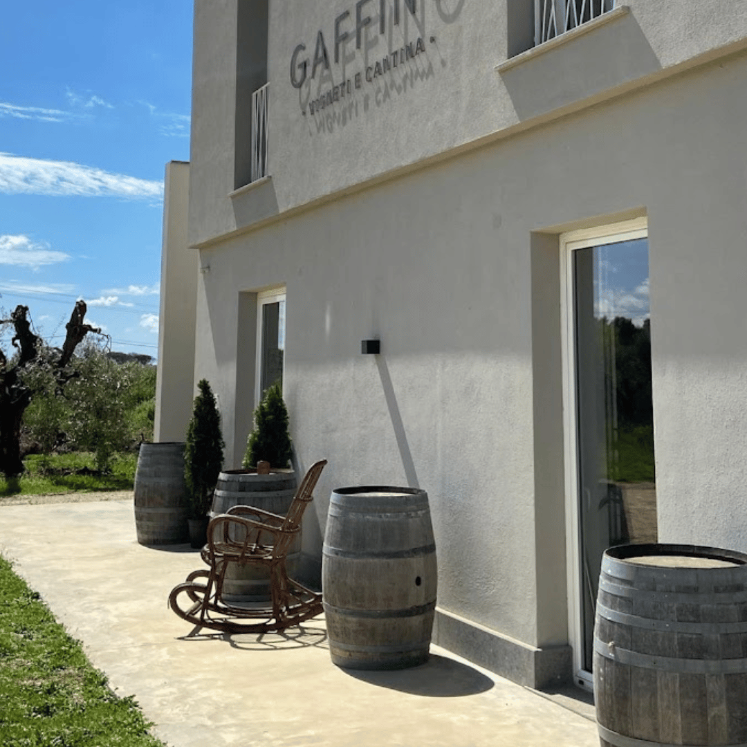 Boutique Winery Visit &amp; Tasting near Rome