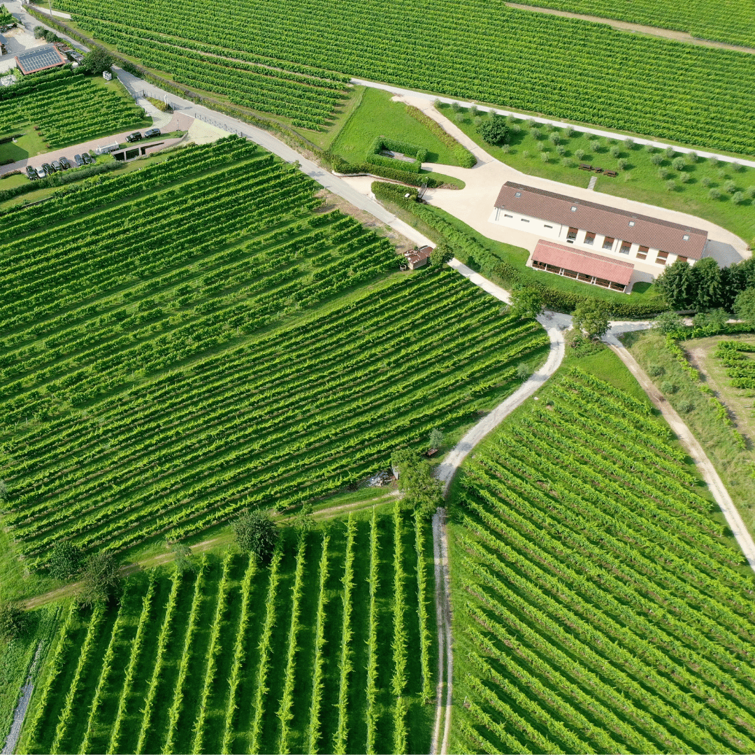 Prosecco Tasting in Countryside Winery