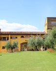 Olive Oil Tasting with local food on Lake Garda Hills