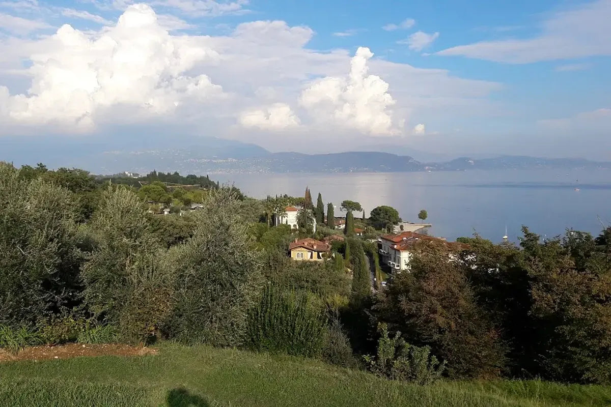 Olive Oil Tasting with local food on Lake Garda Hills