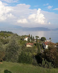 Olive Oil Tasting with local food on Lake Garda Hills