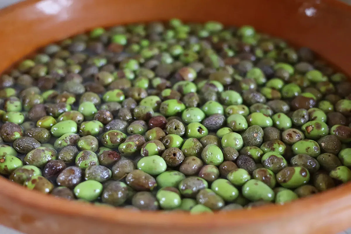 Olive Oil Tasting with local food on Lake Garda Hills