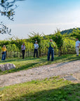 Olive oil tasting on the hills of Valpolicella