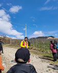 Tasting of Organic Mountains Wines with Vineyard and Cellar Tour