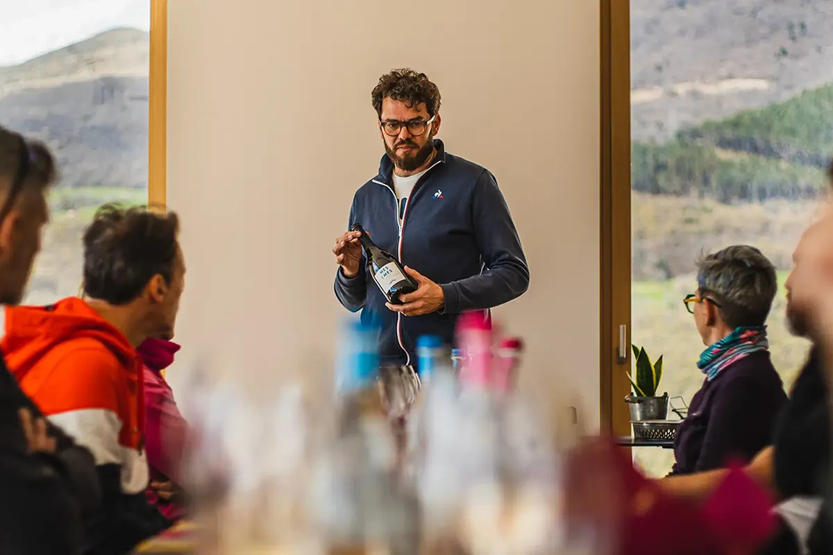 Tasting of Organic Mountains Wines with Vineyard and Cellar Tour