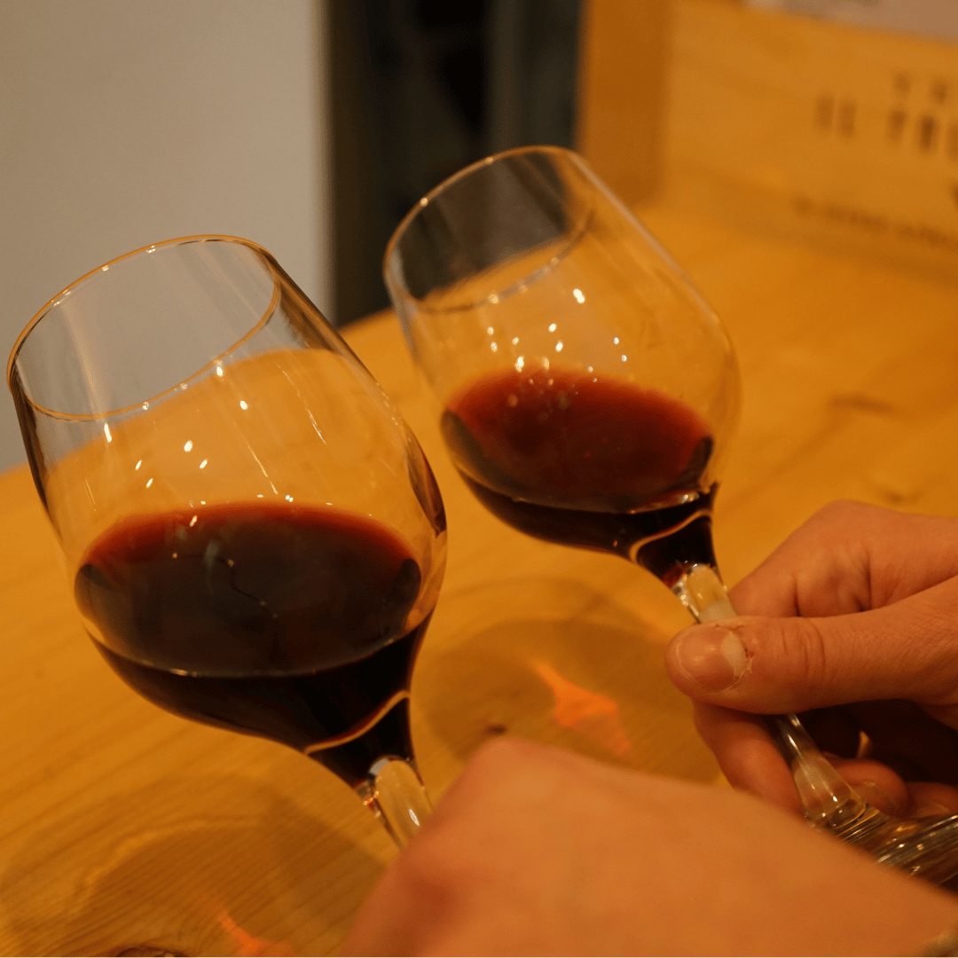 Easy Wine Tasting in Turin City Center