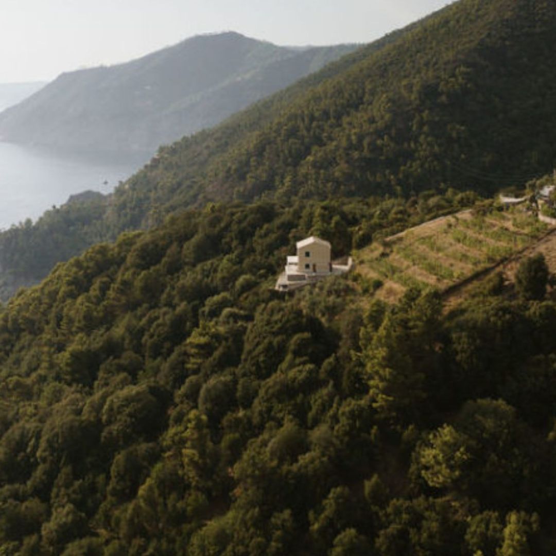 Boutique Winery Visit with Food &amp; Wine Tastings in Cinque Terre