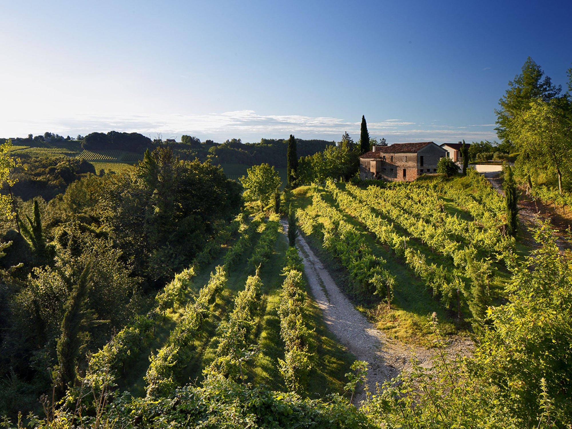 Prosecco Winery Tasting with Food Pairing near Venice