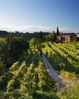 Prosecco Winery Tasting with Food Pairing near Venice