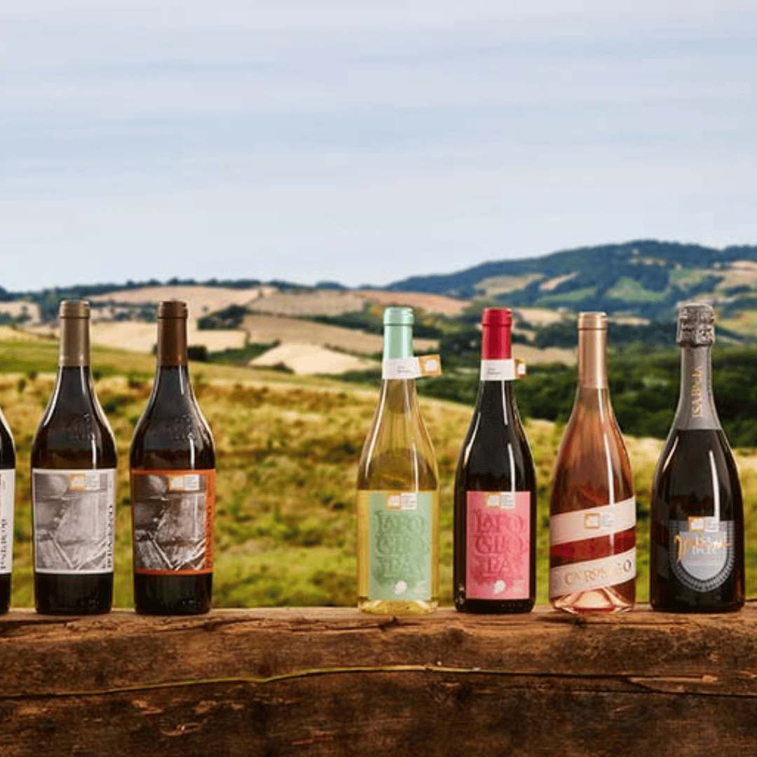 Urbino: Boutique Winery Visit &amp; 5 Organic Wine Tastings