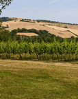 Urbino: Boutique Winery Visit & 5 Organic Wine Tastings